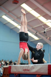 Recreational gymnast - handstand